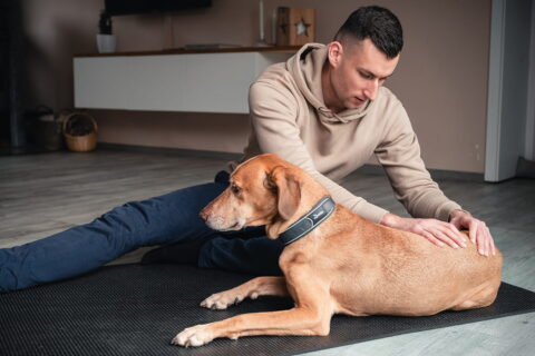 Hundephysiotherapeut Ivo Mix aus Kiel Bild 7