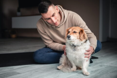Hundephysiotherapeut Ivo Mix aus Kiel Bild 2