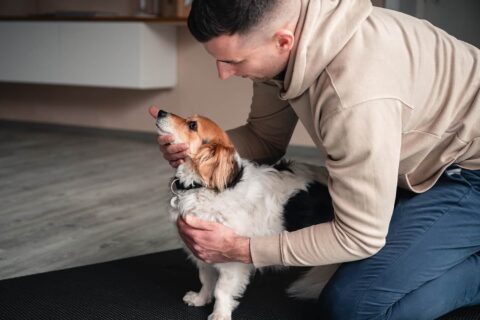 Hundephysiotherapeut Ivo Mix aus Kiel Bild 5