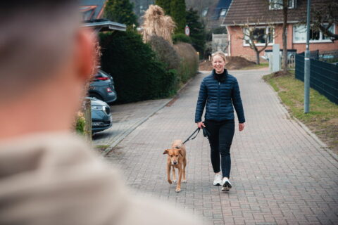 Hundephysiotherapeut Ivo Mix aus Kiel Bild 2